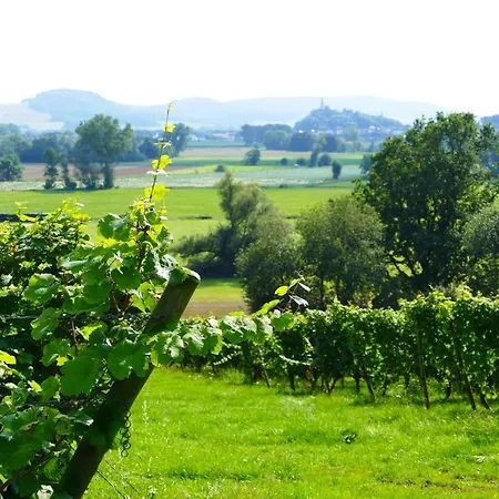 Tielmann Daire Felsberg